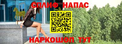 гашик Пушкино